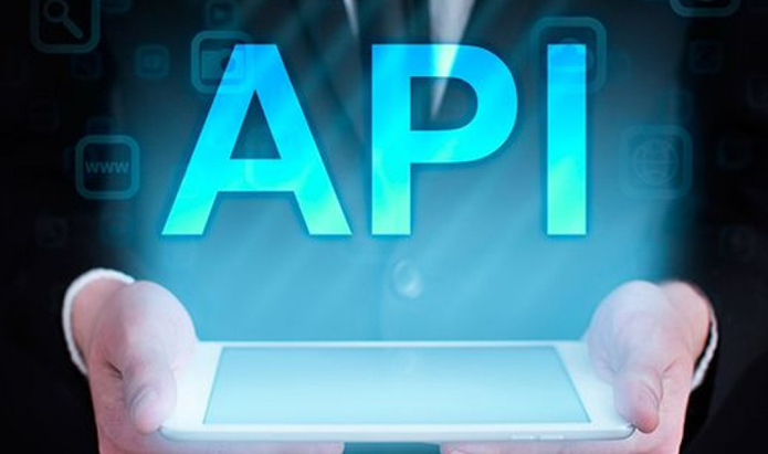 Web API Pen Testing 